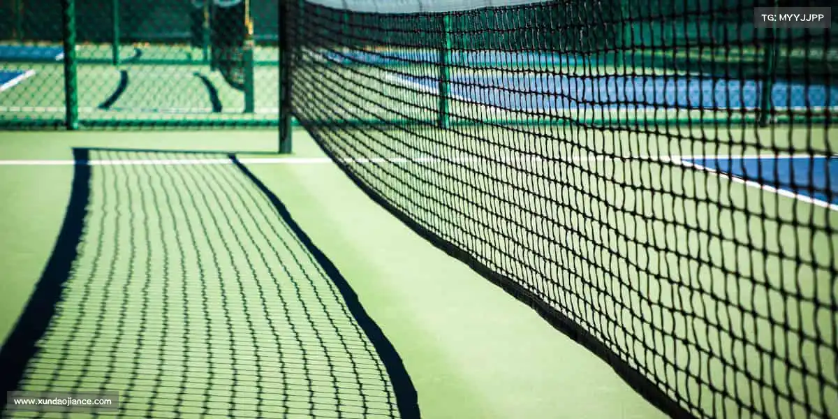 sg胜游亚洲体育——🏋️♀️专业赋能，每一步都算数！​